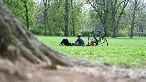 <p>Zugang zu Grünflächen ist in der Wallonie weit verbreitet – der Anteil dichter Baumbestände hingegen bleibt gering.</p>