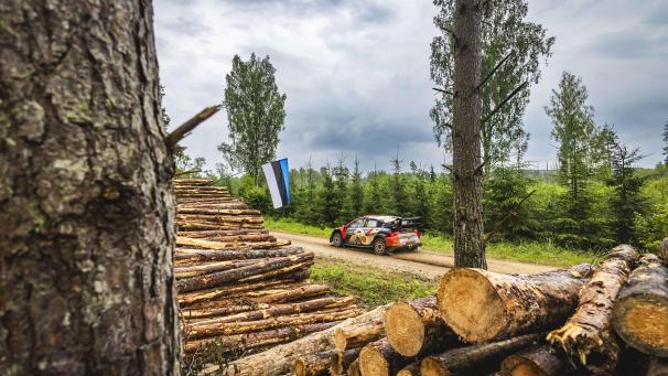 <p>Thierry Neuville</p>