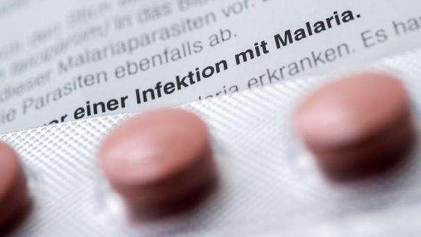 <p>Hoffnung aus Löwen: Medikament zeigt Wirkung gegen schwere Malaria.</p>
