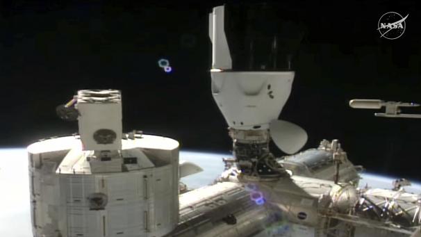 <p>Dieses Bild aus einem von der NASA und SpaceX zur Verfügung gestellten Videostandbild zeigt die an die Internationale Raumstation (ISS) angedockte SpaceX-Kapsel, mit «Crew 11» an Bord.</p>