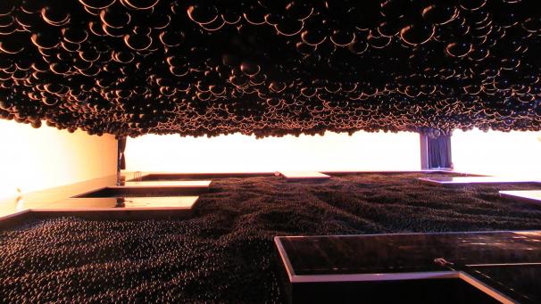 <p>Die Ausstellung „Euphoria“ wird in dem Ballon-Museum in Paris gezeigt.</p>