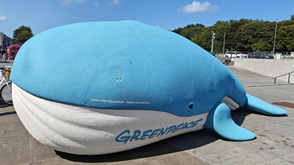 <p>Greenpeace stellt in Bredene eine sechs Meter lange Blauwalskulptur auf – als Warnung vor den Folgen des Tiefseebergbaus.</p>