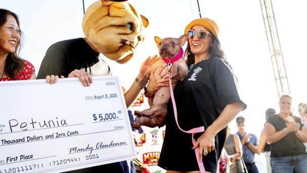 <p>Petunia und ihre Besitzerin Shannon Nyman (rechts) feierten den ersten Platz im Wettbewerb um den hässlichsten Hund der Welt auf der Sonoma County Fair.</p>