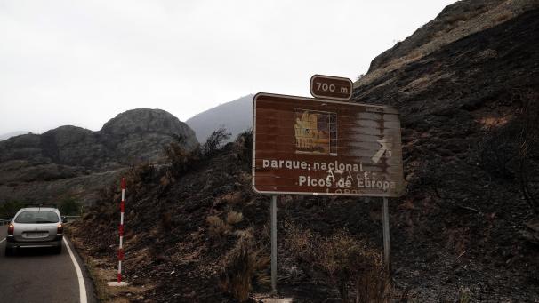 <p>Vom Feuer verbranntes Gebiet in der Umgebung der Picos de Europa</p>