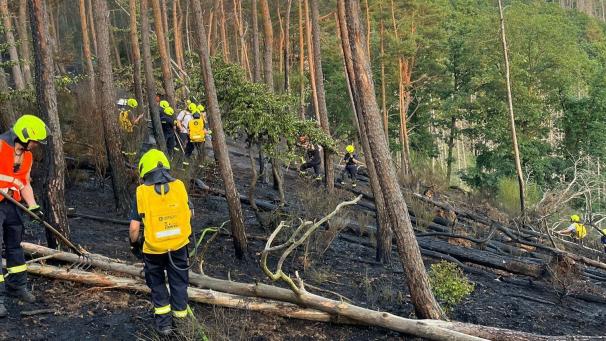<p>Feuerwehrleute stehen an einem Hang. Nach einem Waldbrand im Nationalpark Eifel sind die Einsatzkräfte weiter mit den Nachlöscharbeiten beschäftigt.</p>