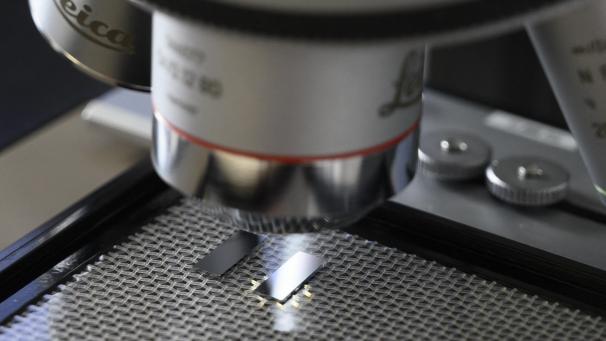<p>Unter dem Mikroskop: Forschungsarbeiten an photonischen Chips. In Oudenaarde soll Europas erste Fabrik für diese Schlüsseltechnologie entstehen.</p>