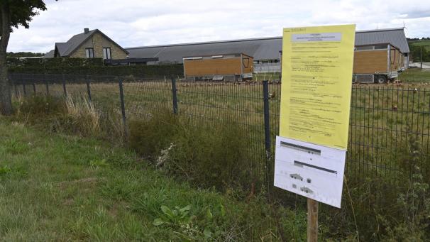 <p>Der Bau eines neuen Hühnerstalls auf „Lima’s Hühnerhof“ zwischen Elsenborn und Bütgenbach ist derzeit Gegenstand von Unterschriftenaktionen. Dabei würden alle ihr bekannten Kritikpunkte im Bauantrag widerlegt, betont die Antragstellerin Katrin Niessen.</p>