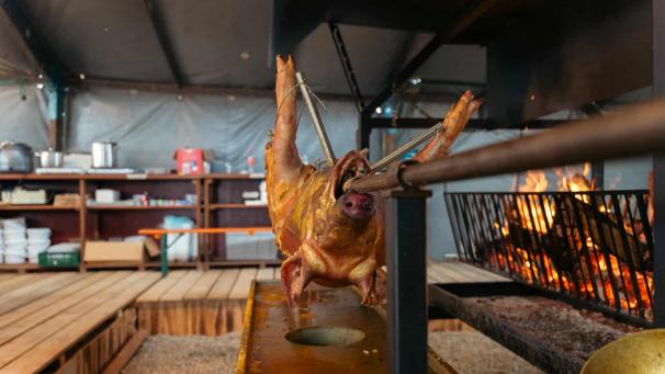 <p>Insgesamt sechs Schweine wurden von den zahlreichen Besuchern verköstigt.</p>