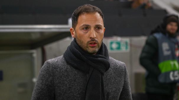 <p>Domenico wird neuer Trainer von Fenerbahce.</p>