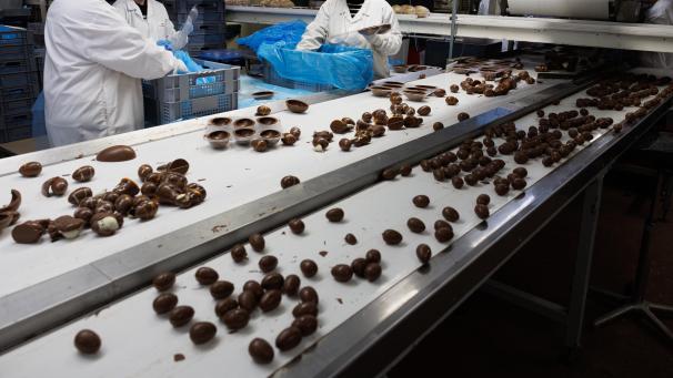 <p>Flanderns Chocolatiers melden 2024 Rekordexporte – Schokolade ist erstmals wichtigstes Agrarprodukt der Region.</p>