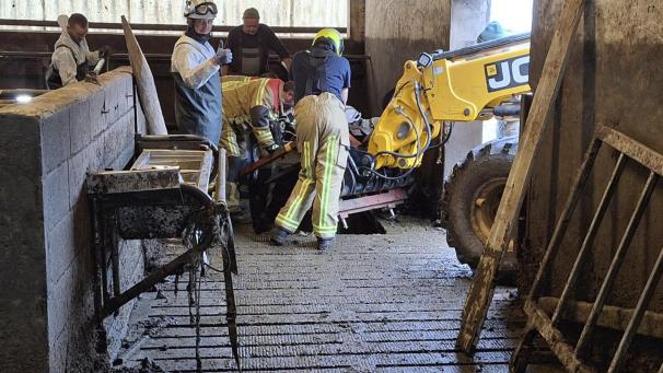 <p>Erfolgreiche Tierrettung durch die Hilfeleistungszone DG am Mittwoch auf einem Bauernhof in Andler.</p>