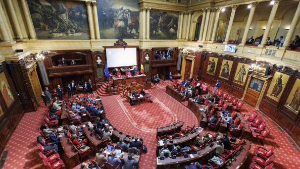 <p>Der Senat soll nach politischem Willen bis Mitte 2029 abgeschafft werden.</p>