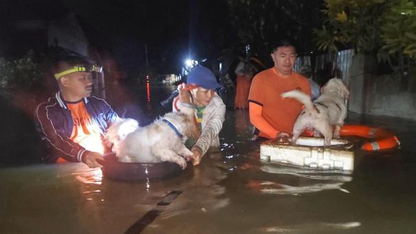 <p>In diesem von der philippinischen Küstenwache zur Verfügung gestellten Handout werden Anwohner und ihre Hunde von Rettungskräften evakuiert, als die Wasserpegel aufgrund des Taifuns „Bualoi“ in der Provinz Leyte steigen.</p>