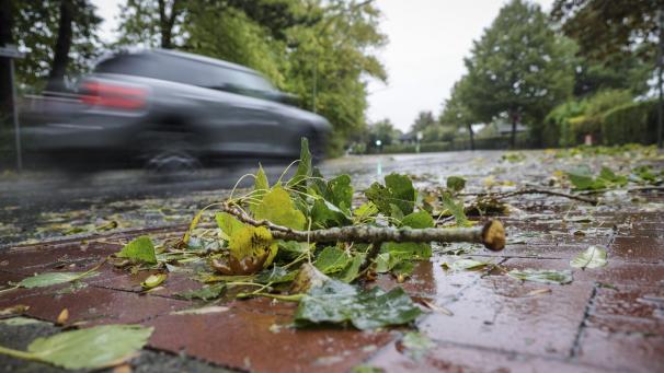 <p>Touring warnt vor gefährlichen Straßenverhältnissen im Herbst.</p>