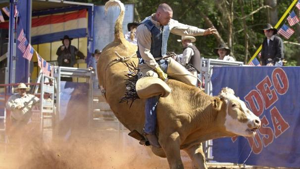 <p>Folklore aus den USA oder Tierquälerei? GAIA will Rodeos in Belgien stoppen.</p>