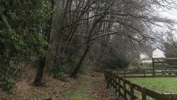 <p>Am Fuß des Hanges steht der Wald in unmittelbarer Nachbarschaft zu Wohnhäusern, Gärten, Garagen und einem Bolzplatz. In der Vergangenheit sind bereits einzelne Bäume den Hang hinuntergestürzt.</p>
