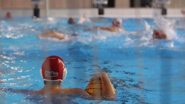 <p>Der Schwimmverein Delphin wird im Jahr 2025 mit insgesamt 3.960 Euro unterstützt.</p>