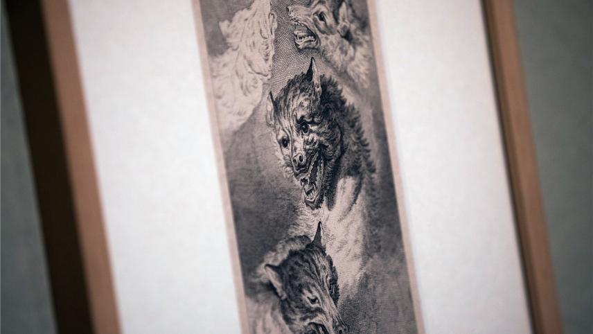 <p>Eine Wolfsdarstellung des Künstlers Johann Elias Ridinger hängt im Wallraf-Richartz-Museum. Die Ausstellung ist bis zum 28. April zu sehen.</p>