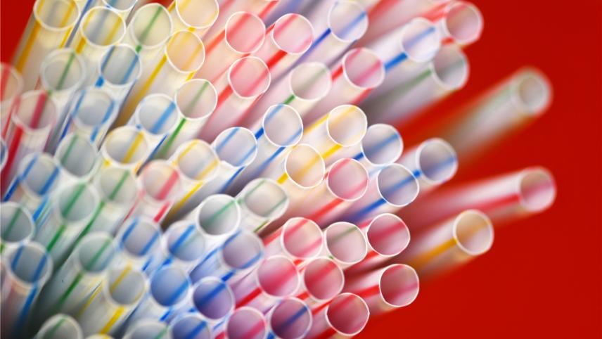 <p>Bunte Trinkhalme aus Plastik. In der Eupener Stadtverwaltung soll künftig die Anschaffung von Plastikartikeln, die nur eine einmalige Verwendung finden, unterbunden werden. Illustrationsfoto: dpa</p>