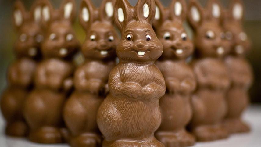 <p>220 Millionen Schokohasen wurden für das diesjährige Osterfest alleine in Deutschland produziert.</p>