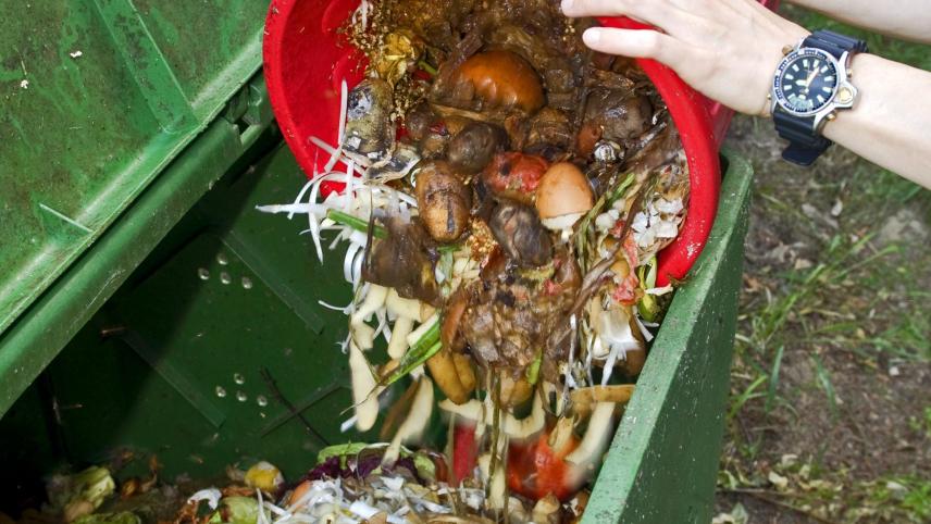 <p>Das Seminar vermittelt Wissenswertes zum Thema Wurmkompostierung.</p>