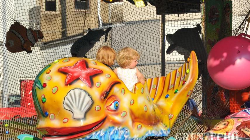 <p>DSC_9923</p>