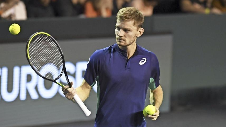 <p>David Goffin wird die belgische Mannschaft anführen.</p>