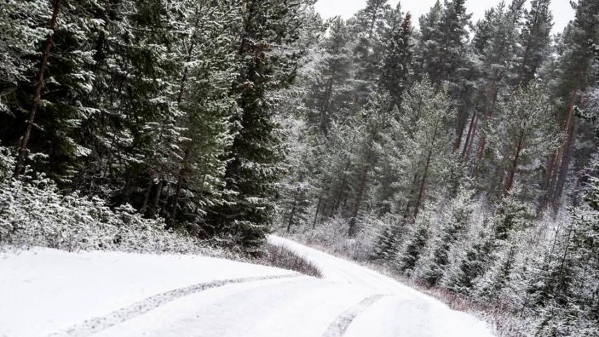 <p>86281121_3479982065376641_2044166878254858240_n</p>