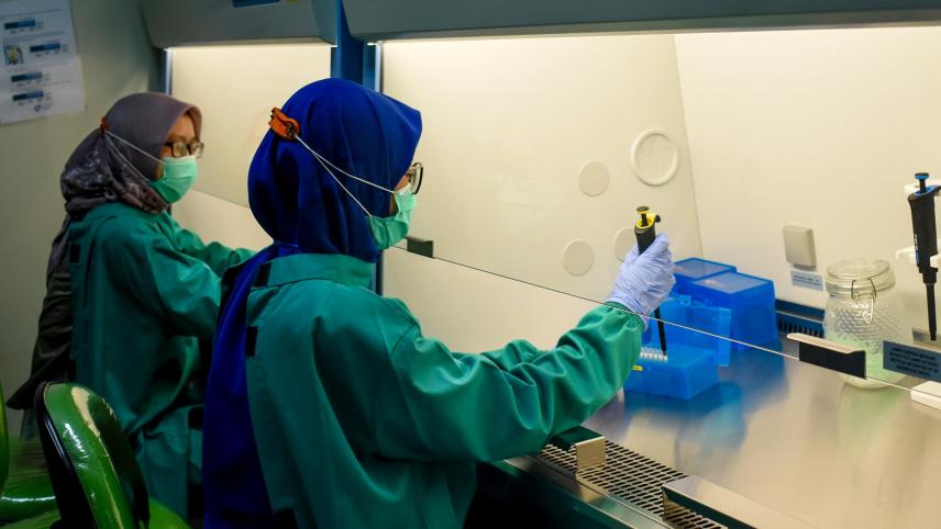 <p>In ihrem Zwischenbericht bemängeln die Experten die Tatsache, dass zu Beginn der Krise die Corona-Tests lediglich in einem belgischen Labor ausgewertet wurden.</p>