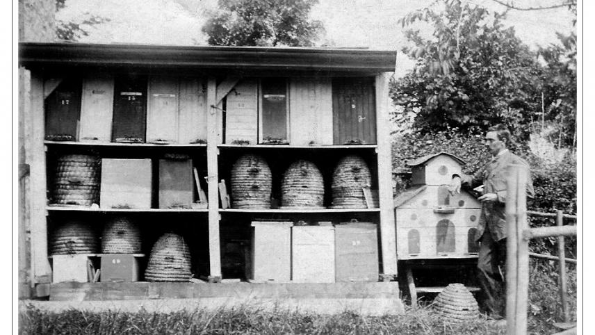 <p>Diese Aufnahme aus dem Jahr 1898 zeigt des Bienenhaus von Ludwig Schyns im Eupener Ortsteil Stockem. Der Landwirt war einer der Mitgründer des Eupener Bienenzuchtvereins.</p>