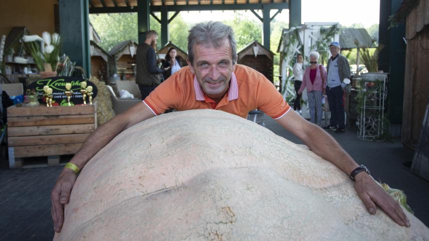<p>Mark Feyaerts hat mit seinen 679,5 Kilogramm schweren Kürbis bei der NRW-Riesen-Kürbis-Wiegemeisterschaft aufgetrumpft.</p>