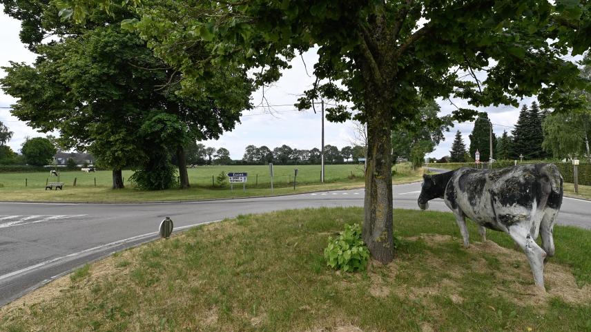 <p>Auf der Weimser Straße soll ein Fuß- und Fahrradweg entstehen.</p>