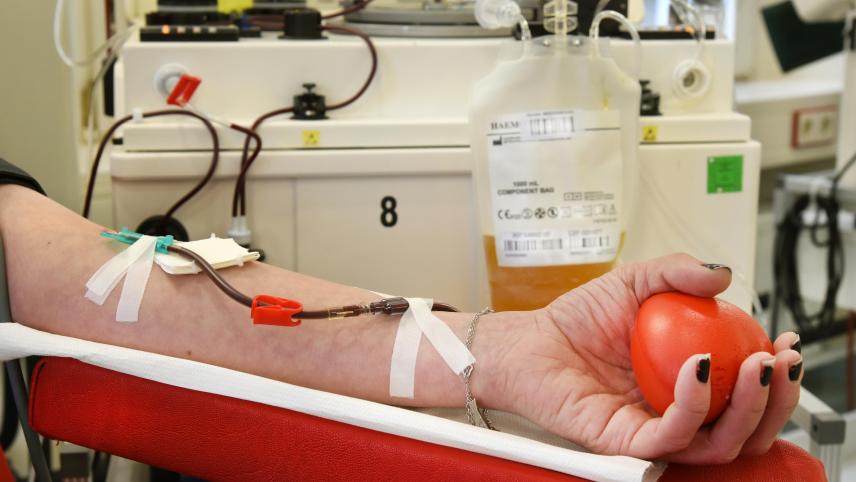 <p>In Belgien werden regelmäßig gesunde Blutspender gesucht.</p>