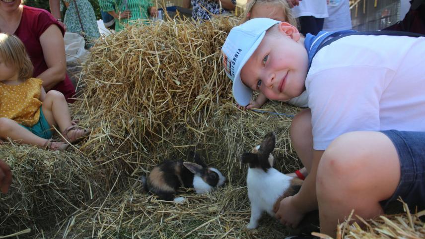 <p>Florian (11) nutzt die Gelegenheit, mit einem flauschigen Kaninchen zu spielen.</p>