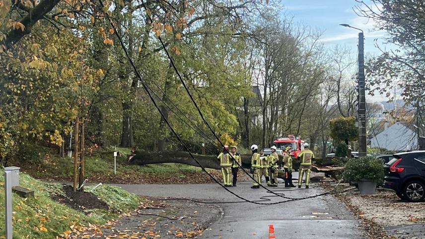 <p>Ein stattlicher Baum ist am Sonntagmorgen im Ortsteil Stockem auf die Straße gestürzt.</p>