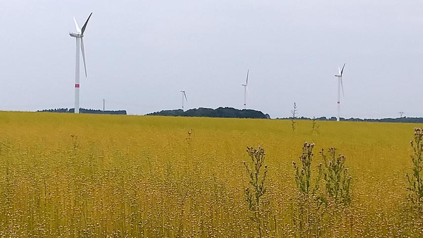 <p>Die Windkraftkapazität in der Wallonie wird jährlich ausgebaut, reicht aber nicht um die Produktionsziele zu erfüllen.</p>