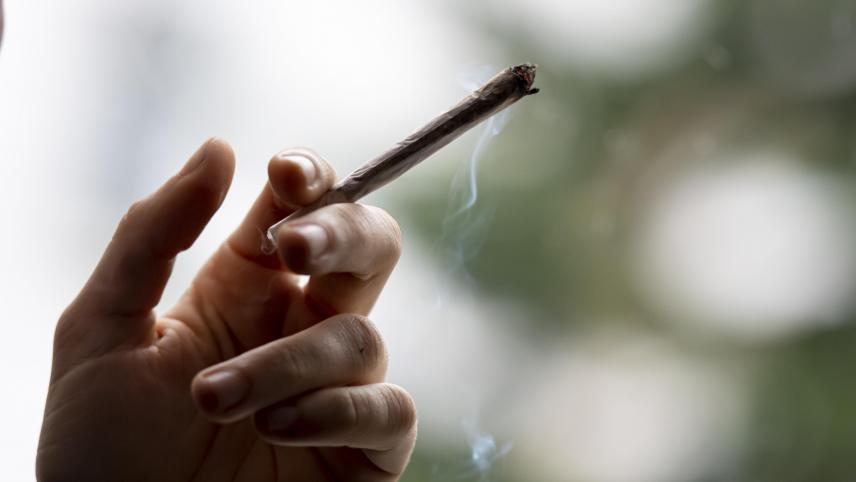 <p>Marihuana und Haschisch sollen in Deutschlandfür Volljährige legal werden - unter Bedingungen.</p>