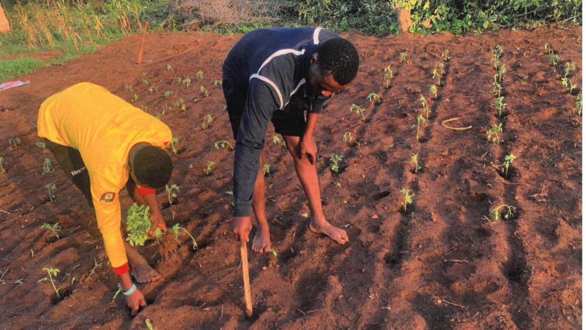 <p>Die VoG hilft jungen Familien im westafrikanischen Benin dabei, sich eine landwirtschaftliche Existenz aufzubauen.</p>