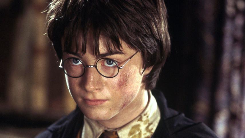 <p>Daniel Radcliffe ist durch die Harry Potter Filme zum Weltstar geworden. Wer den Zauberschüler in der Serie spielen wird, ist noch unklar.</p>