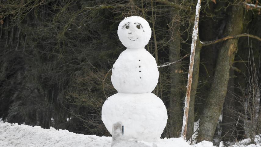 <p>Frostige Schönheit: Frostige Schönheit: Teilen Sie Ihre Schneefotos und gewinnen Sie!</p>