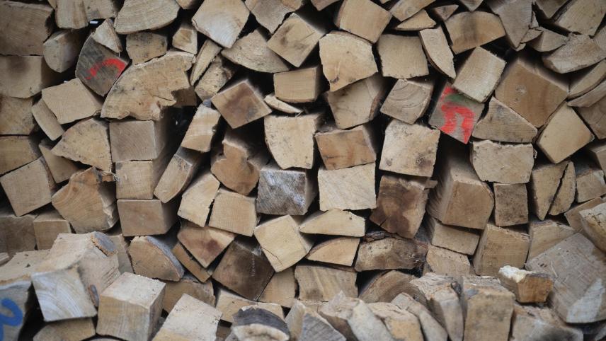 <p>Illustration: dpa</p>