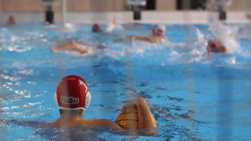 <p>Der Schwimmverein Delphin wird im Jahr 2025 mit insgesamt 3.960 Euro unterstützt.</p>